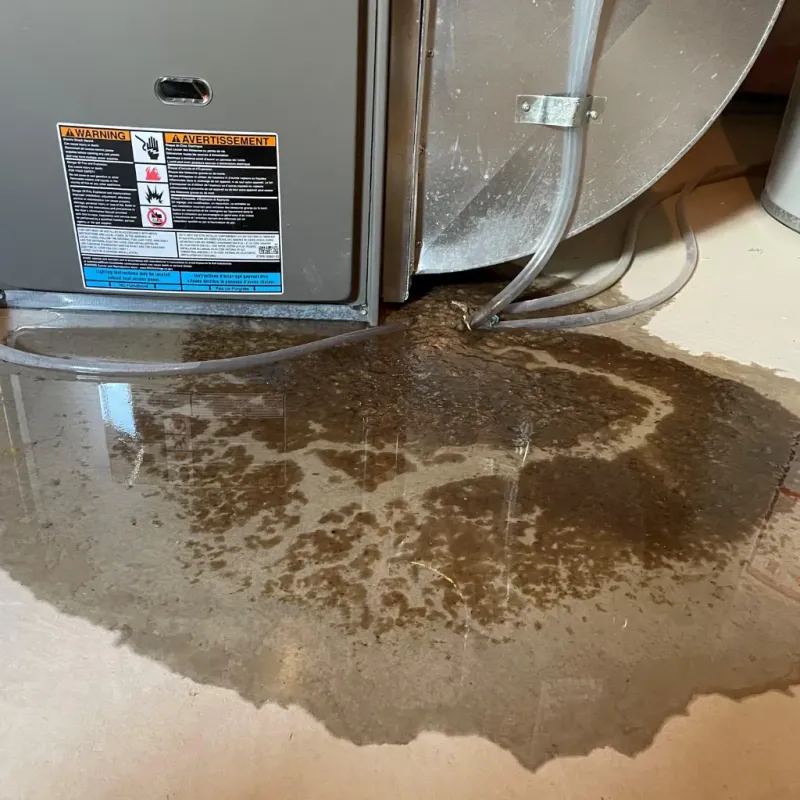 Appliance Leak Cleanup in Monongalia County, WV